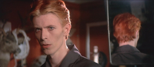 The Man Who Fell to Earth