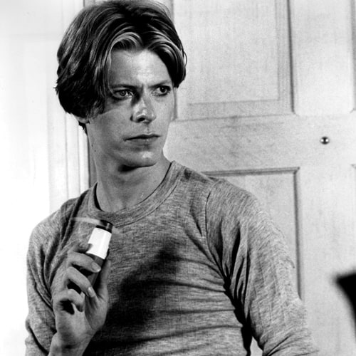 The Man Who Fell to Earth