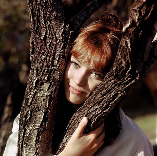 Anna Karina