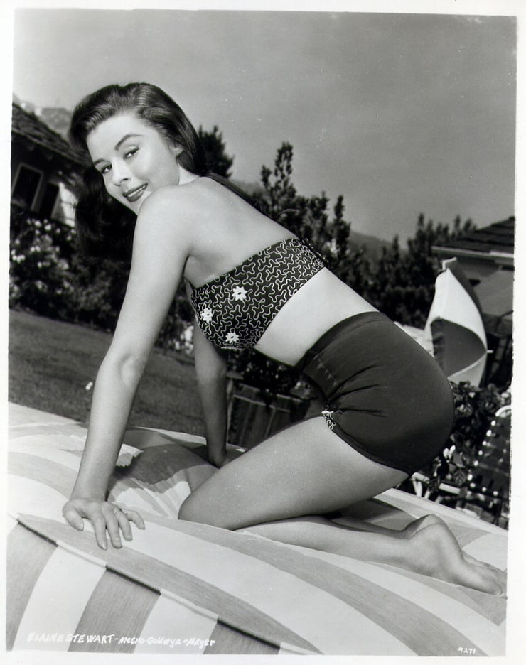 Elaine Stewart