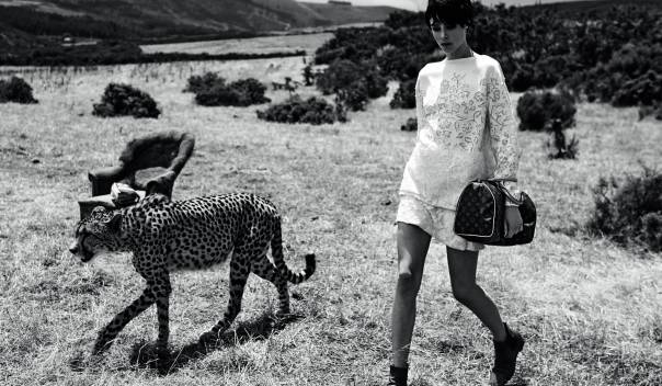Edie Campbell