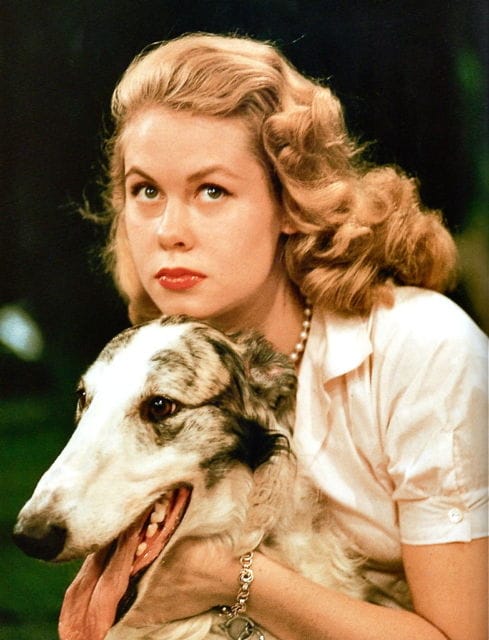 Elizabeth Montgomery Elizabeth Montgomery