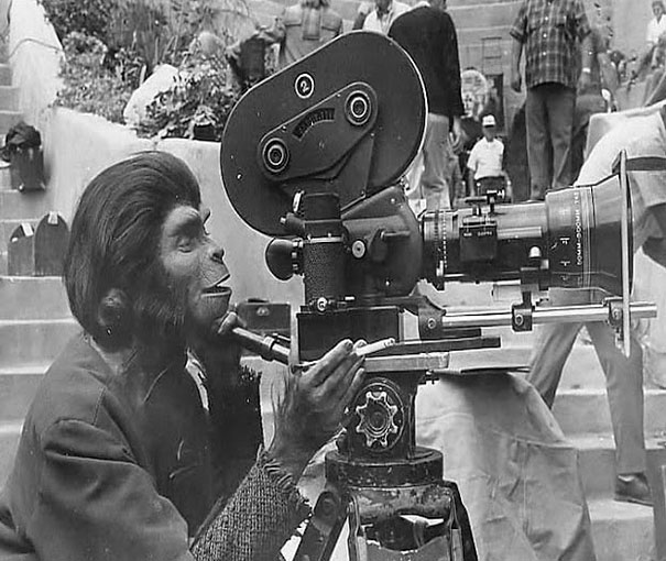 Planet of the Apes