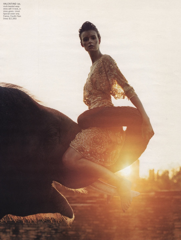Jacquetta Wheeler