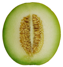 Melon