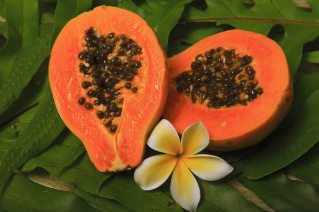 Papaya