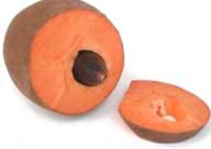 mamey sapote (Pouteria sapota)