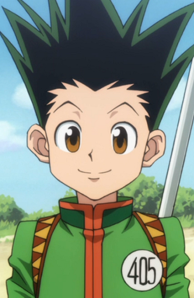 Gon Freecss (Hunter x Hunter 2011)