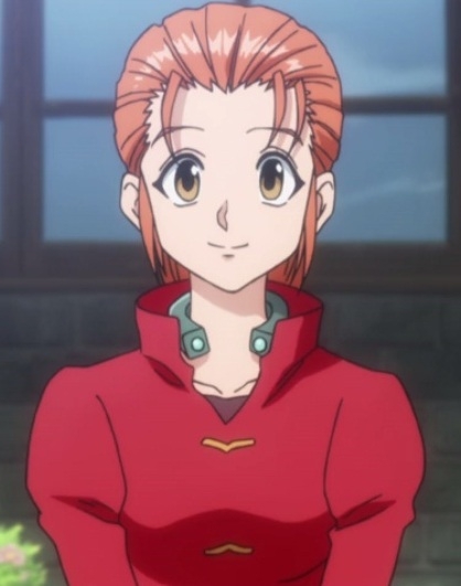 Mito Freecss (Hunter x Hunter 2011)