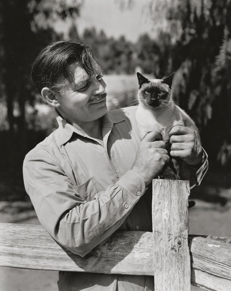 Clark Gable Clark Gable