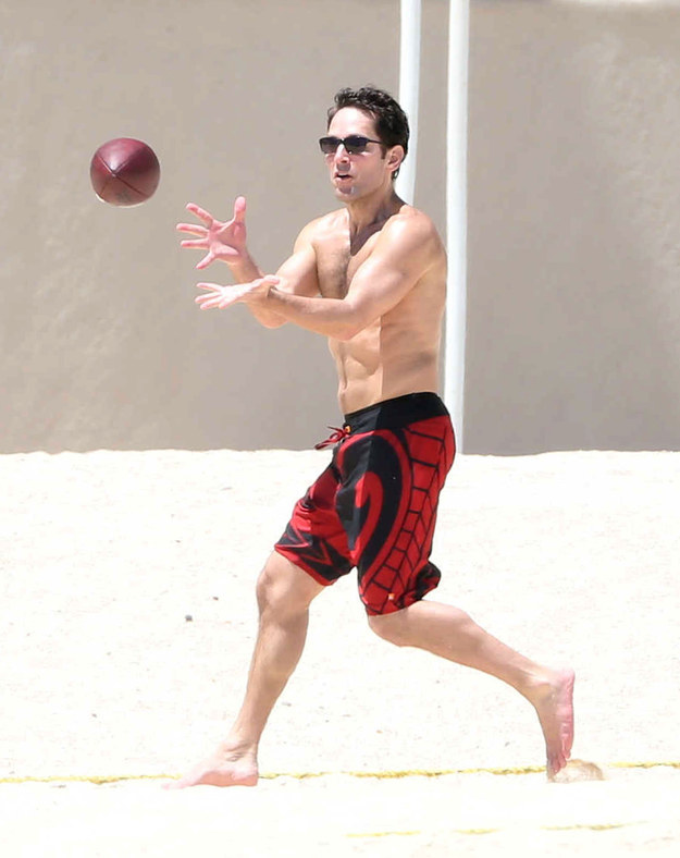 Picture of Paul Rudd