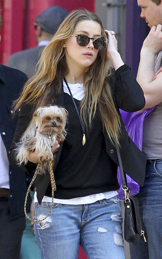 Amber Heard Amber Heard