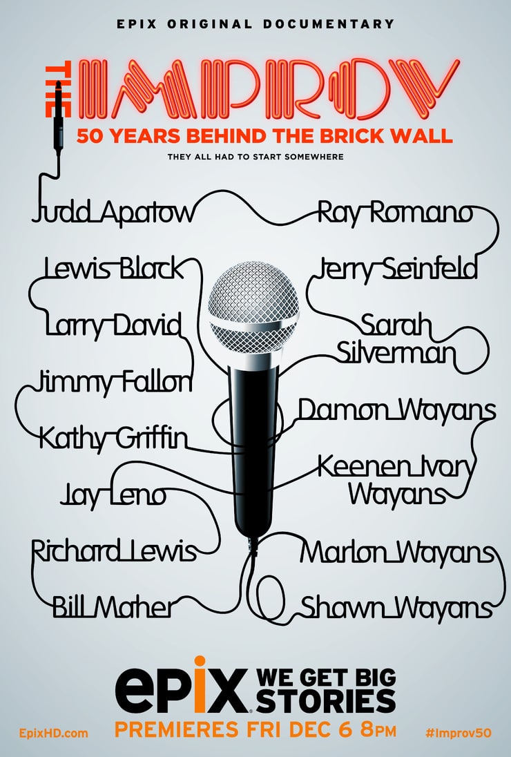 The Improv: 50 Years Behind the Brick Wall                                  (2013)