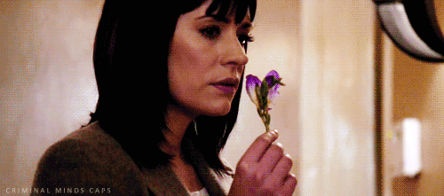 Criminal Minds