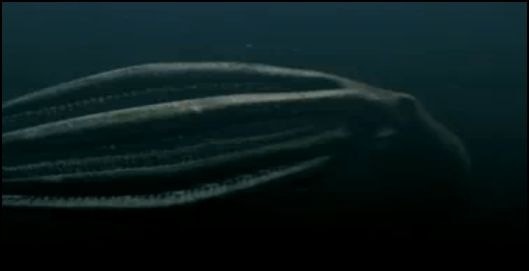 Mega Shark vs. Giant Octopus (2009)
