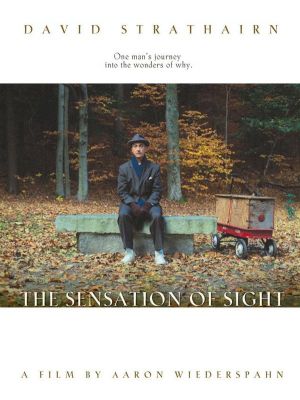 The Sensation of Sight