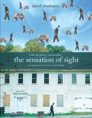 The Sensation of Sight