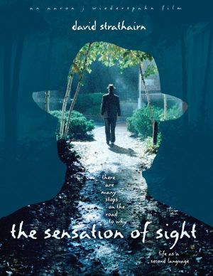 The Sensation of Sight