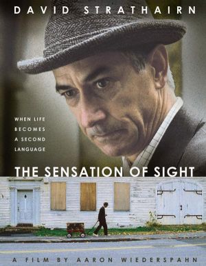 The Sensation of Sight