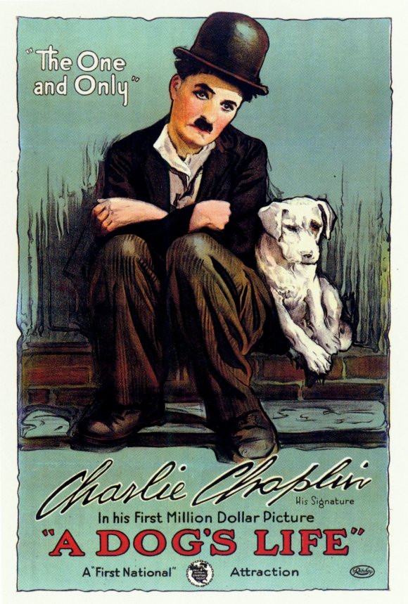 A Dog's Life A Dog's Life