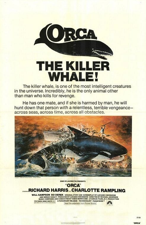 Orca: The Killer Whale