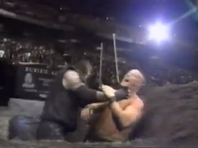 Stone Cold Steve Austin