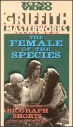 The Female of the Species (1912)