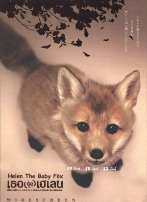 Kogitsune Heren Kogitsune Heren