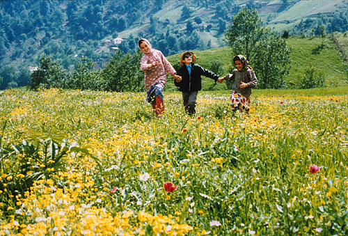 The Color of Paradise (1999) The Color of Paradise (1999)