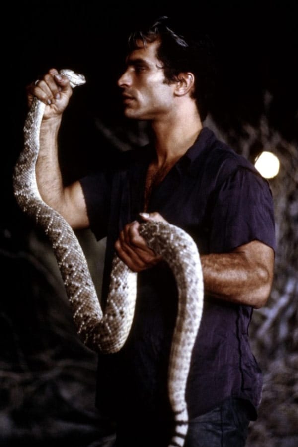 Johnathon Schaech