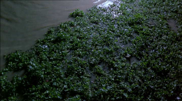 Last Life in the Universe (2002)