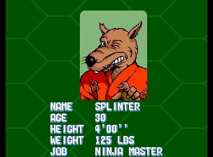 Teenage Mutant Ninja Turtles: Turtles in Time