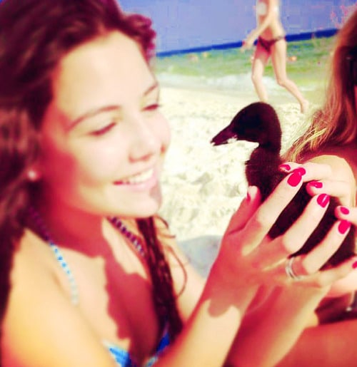 Danielle Campbell