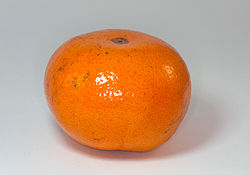 Tangerine Tangerine
