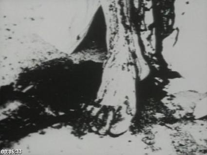 Begotten (1989) Begotten (1989)