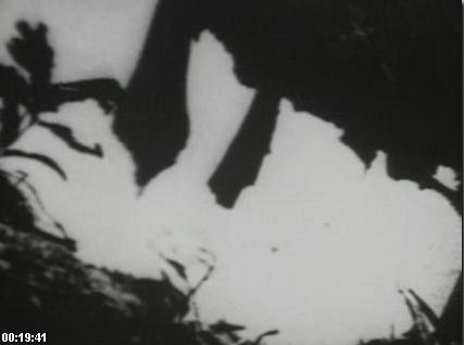 Begotten (1989)