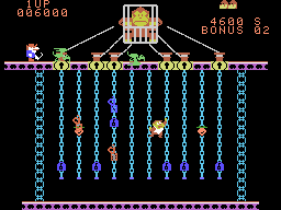 Donkey Kong Junior