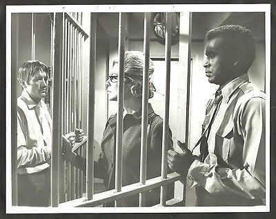 Greg Morris Greg Morris