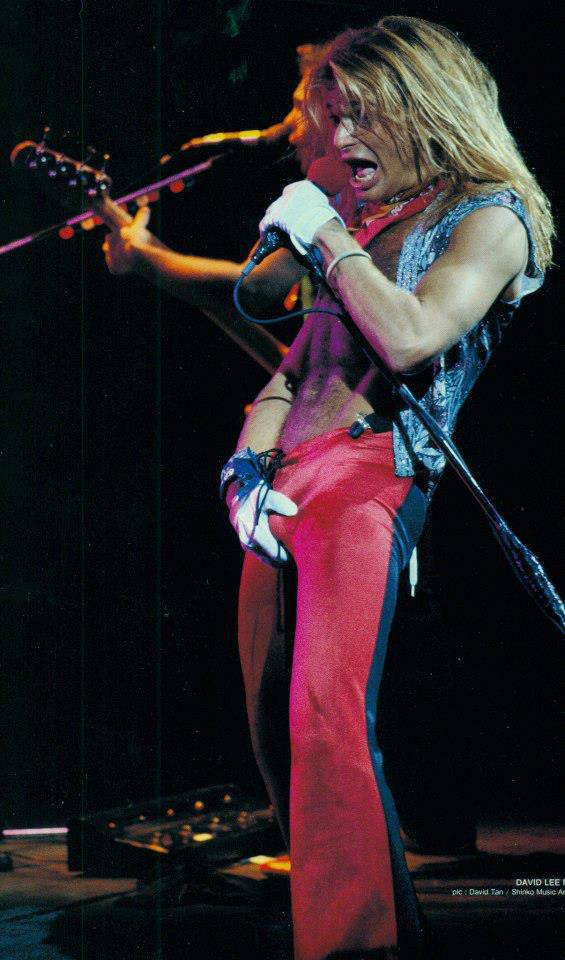 Picture of David Lee Roth