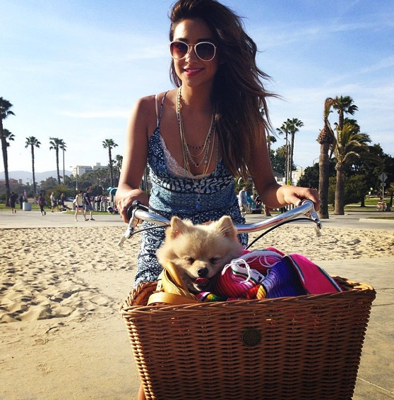 Shay Mitchell