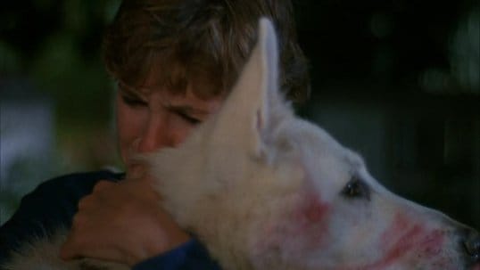White Dog