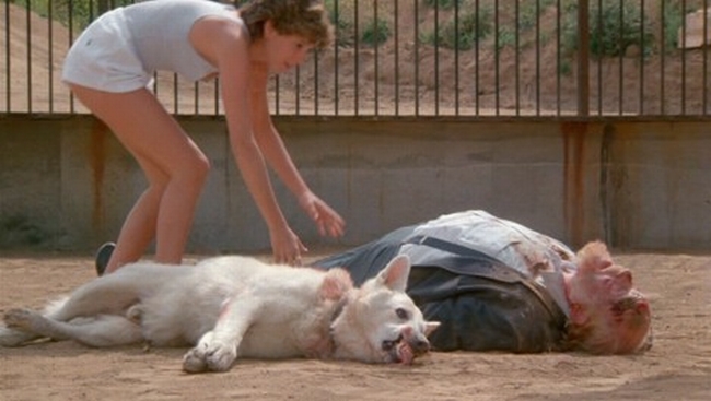 White Dog White Dog