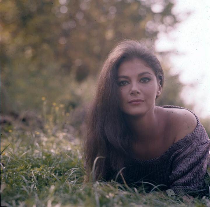 Pier Angeli Pier Angeli