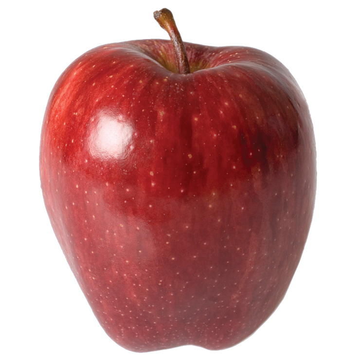 Apple Apple