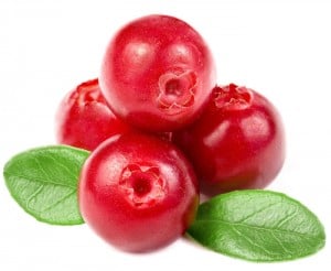 Cranberry