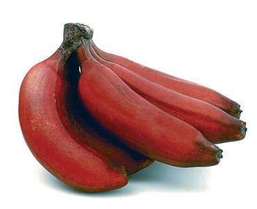 Red Banana