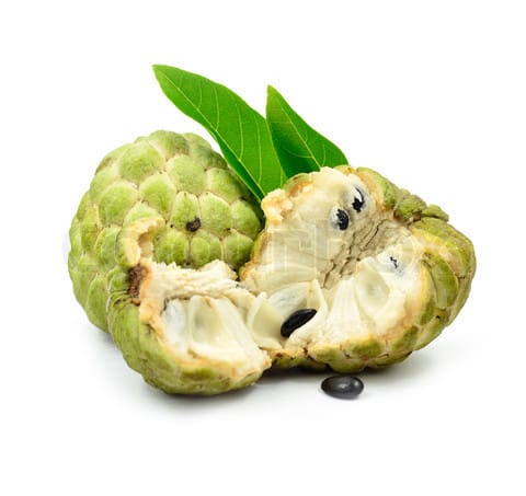 sugar apple