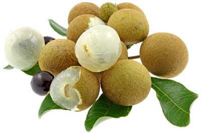 Longan