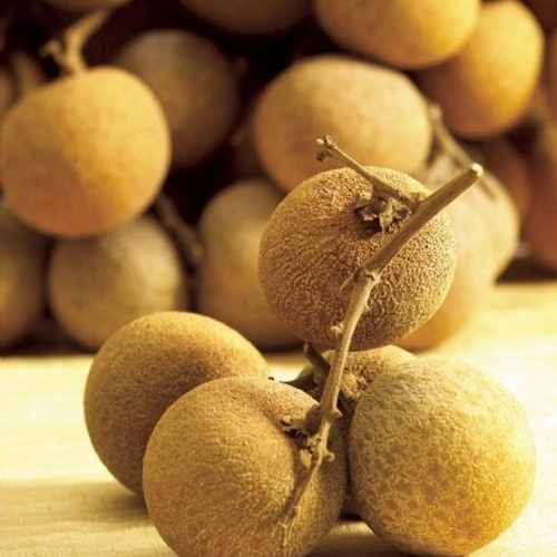 Longan