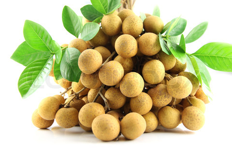 Longan